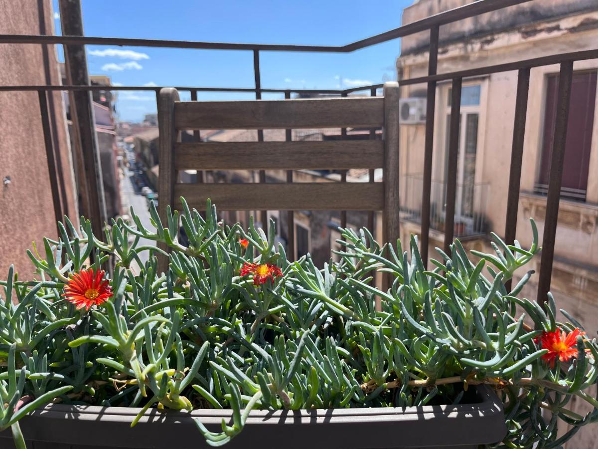 Mita Apartments Catania Bagian luar foto